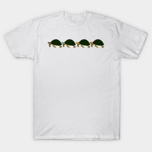 Martial Arts Turtles T-Shirt